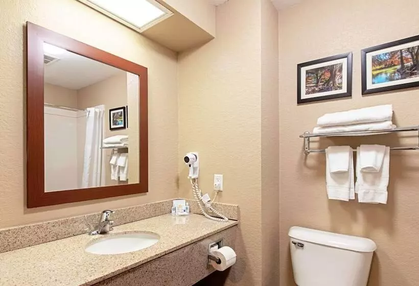 ホテル Comfort Inn & Suites And Suites Fredericksburg