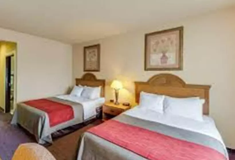 ホテル Comfort Inn & Suites And Suites Fredericksburg