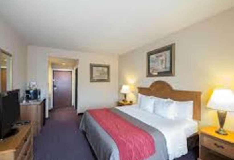 ホテル Comfort Inn & Suites And Suites Fredericksburg