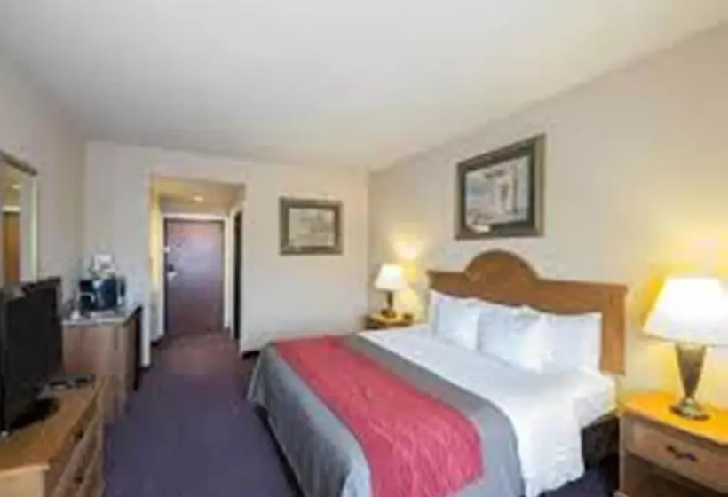 ホテル Comfort Inn & Suites And Suites Fredericksburg