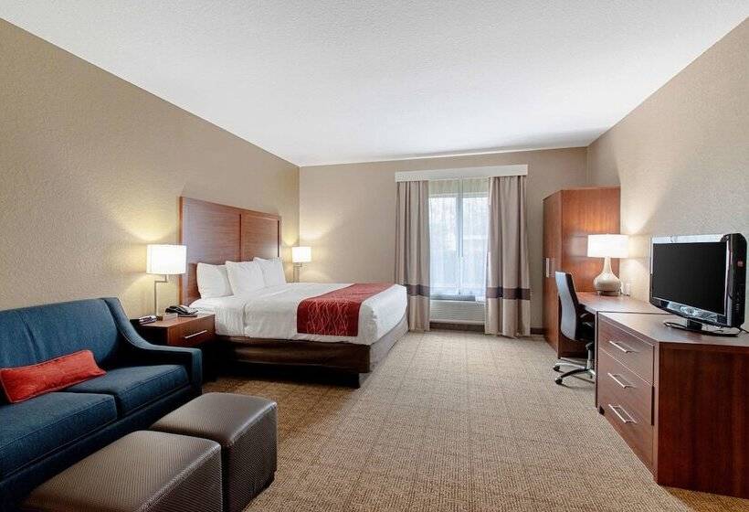 ホテル Comfort Inn & Suites And Suites Fredericksburg