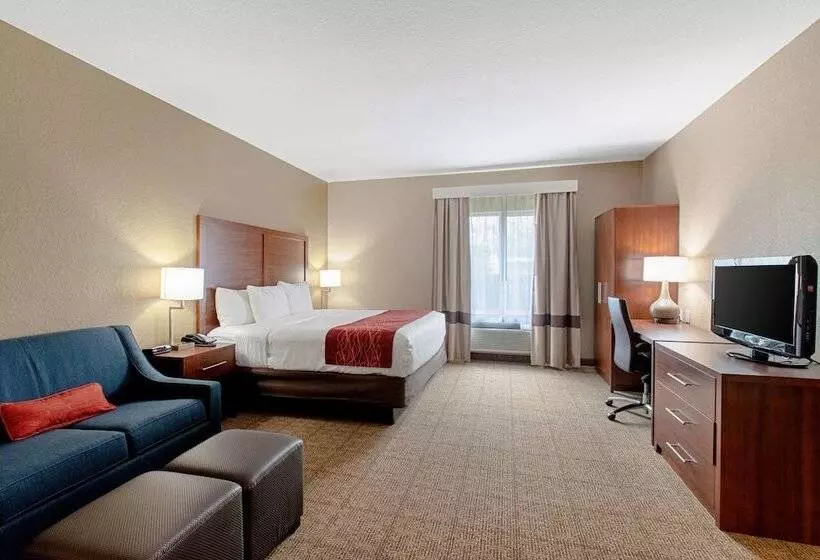 ホテル Comfort Inn & Suites And Suites Fredericksburg