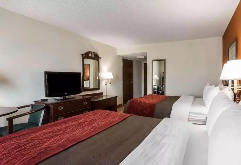 酒店 Comfort Inn & Suites At I 85