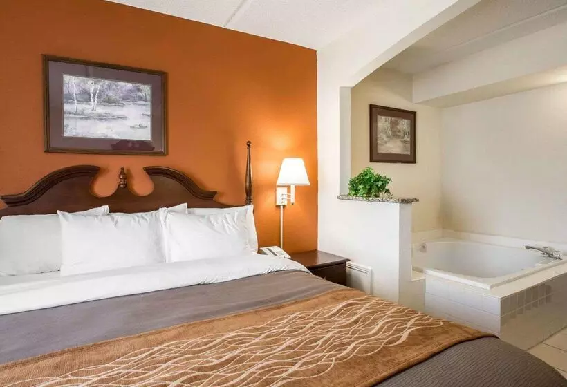 酒店 Comfort Inn & Suites At I 85