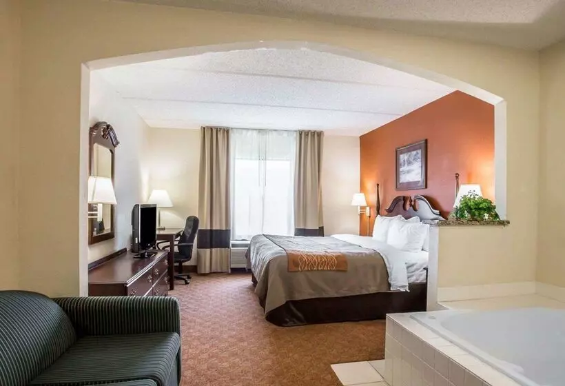 酒店 Comfort Inn & Suites At I 85
