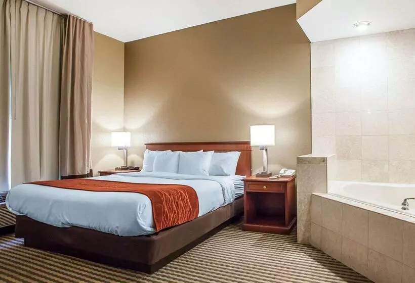 هتل Comfort Inn & Suites Carneys Point