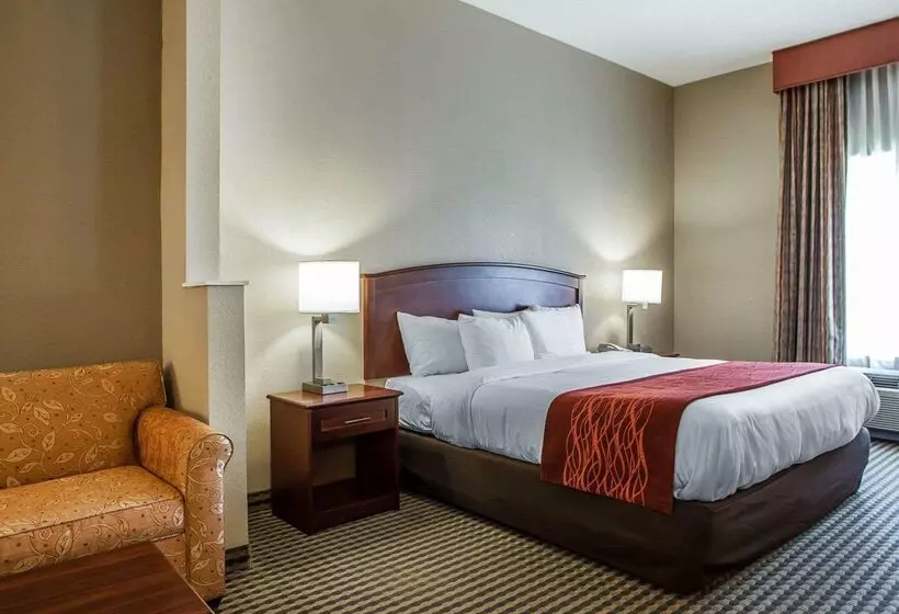 هتل Comfort Inn & Suites Carneys Point