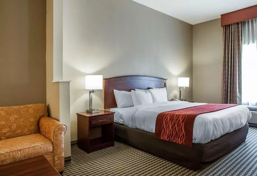 هتل Comfort Inn & Suites Carneys Point