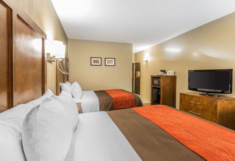 فندق Comfort Inn & Suites