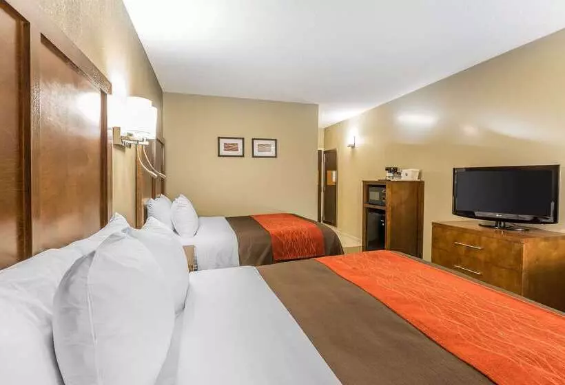 호텔 Comfort Inn & Suites