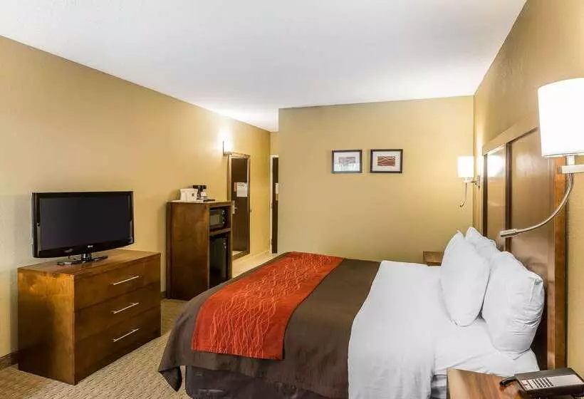 호텔 Comfort Inn & Suites