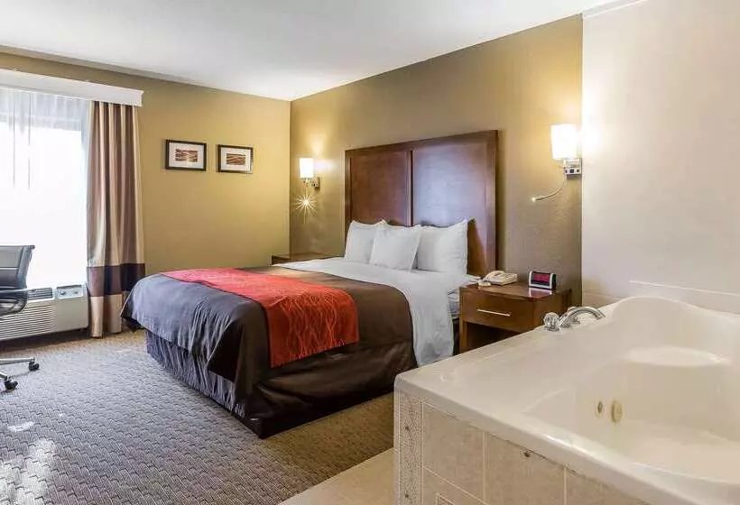 호텔 Comfort Inn & Suites