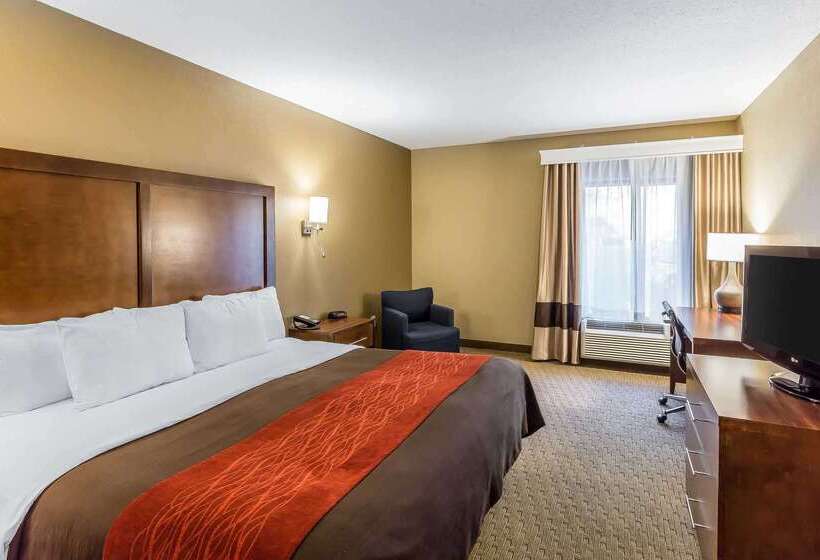 فندق Comfort Inn & Suites