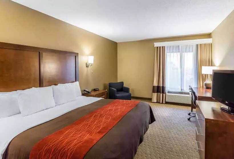 호텔 Comfort Inn & Suites