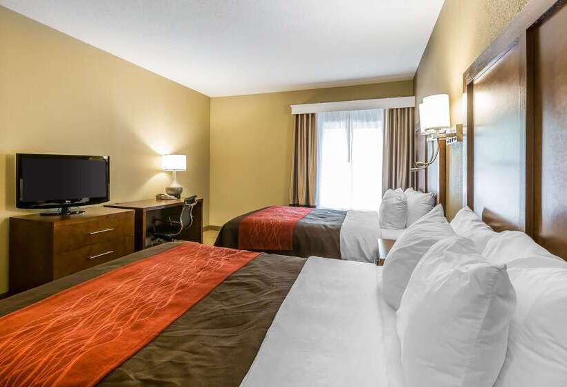 فندق Comfort Inn & Suites