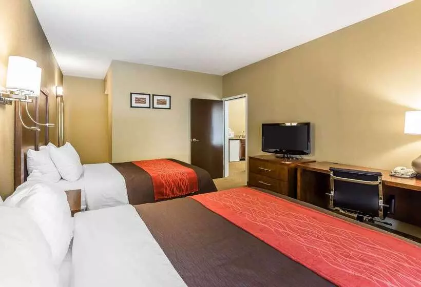 호텔 Comfort Inn & Suites