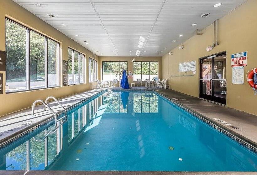 فندق Comfort Inn & Suites