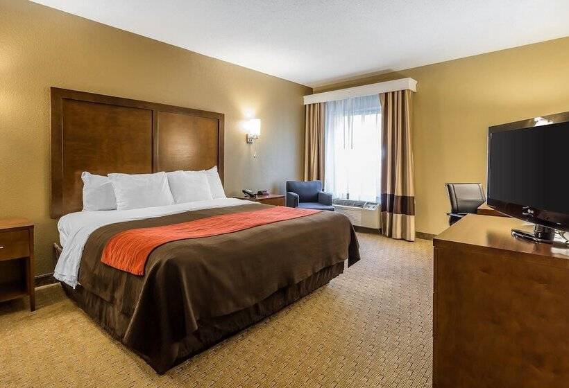 فندق Comfort Inn & Suites