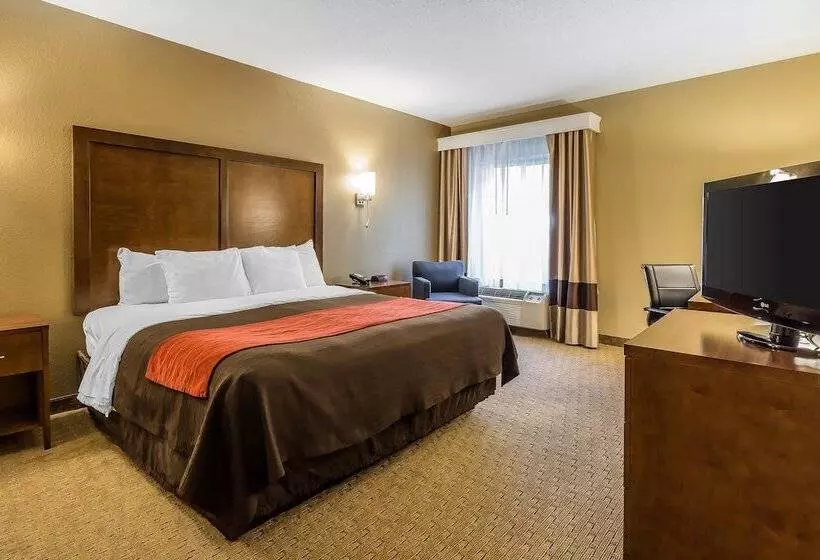 호텔 Comfort Inn & Suites