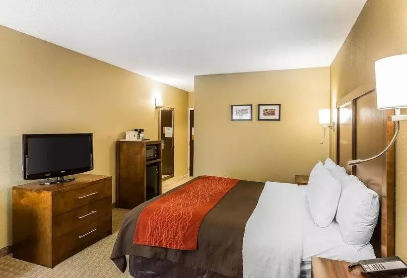 호텔 Comfort Inn & Suites