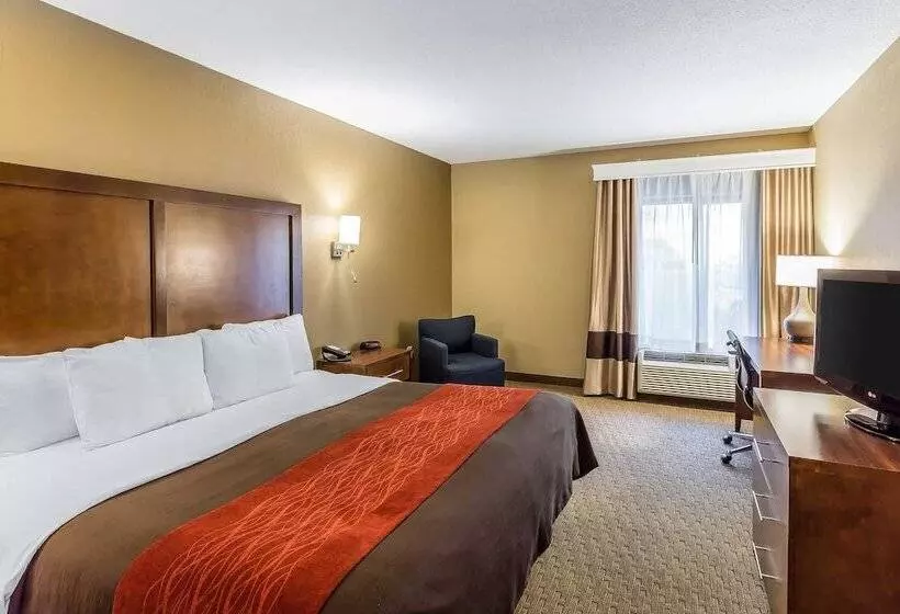 호텔 Comfort Inn & Suites