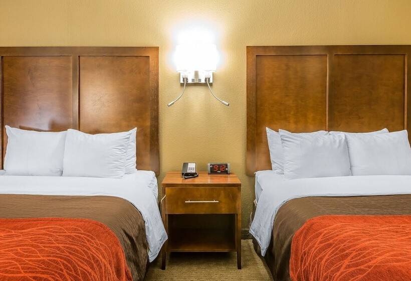 فندق Comfort Inn & Suites