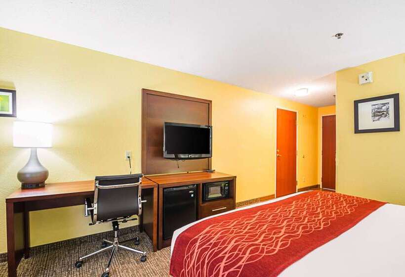 هتل Comfort Inn & Suites
