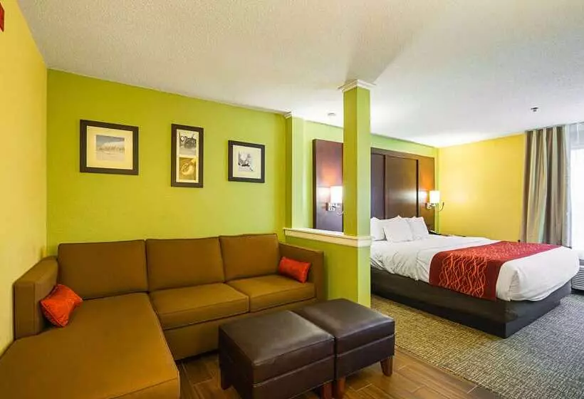 Szálloda Comfort Inn & Suites