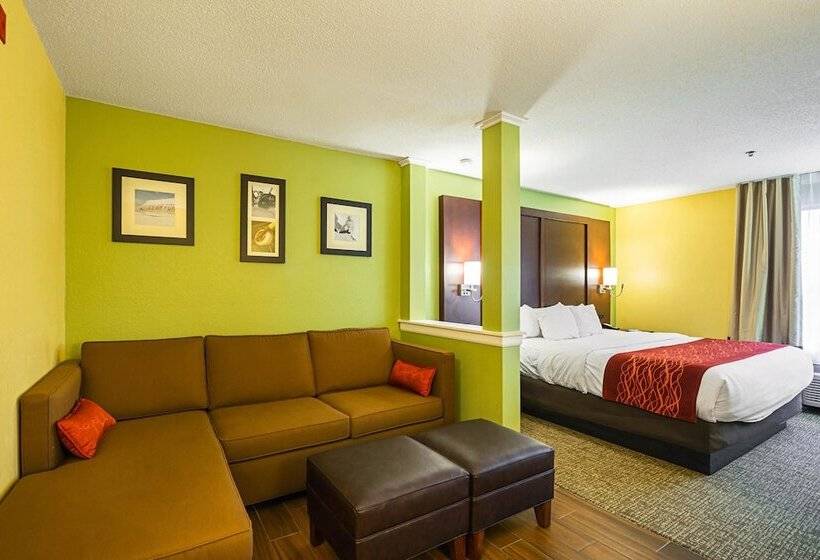 هتل Comfort Inn & Suites