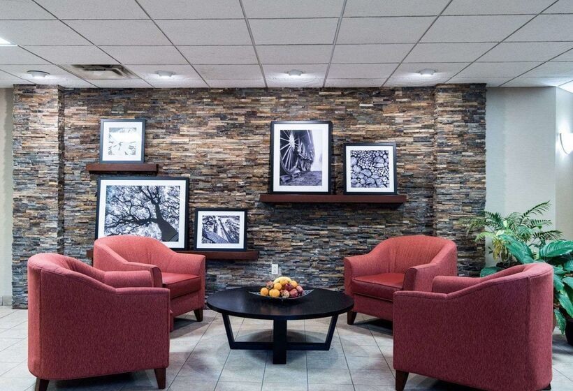 ホテル Comfort Inn & Suites Lavale  Cumberland