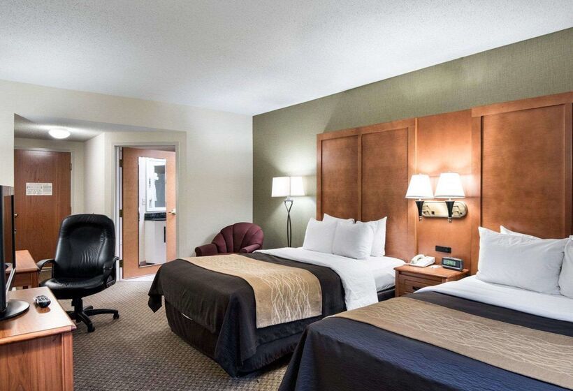 ホテル Comfort Inn & Suites Lavale  Cumberland