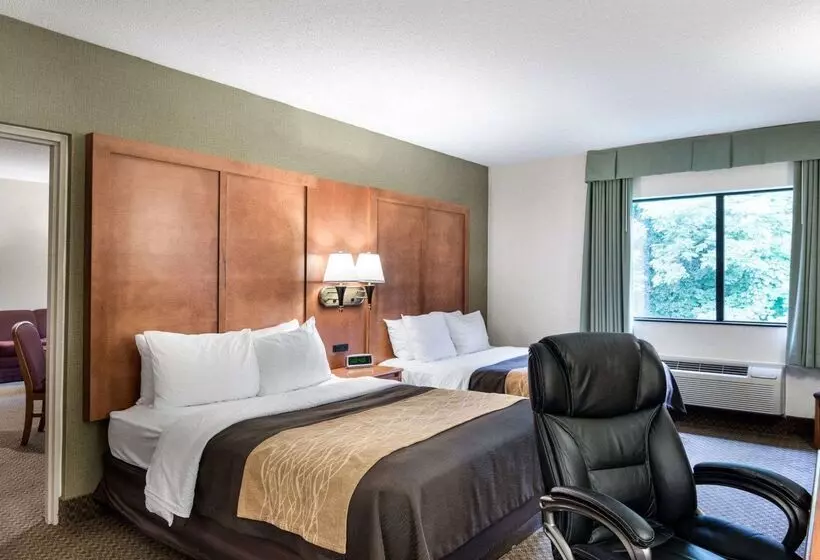 هتل Comfort Inn & Suites Lavale Cumberland