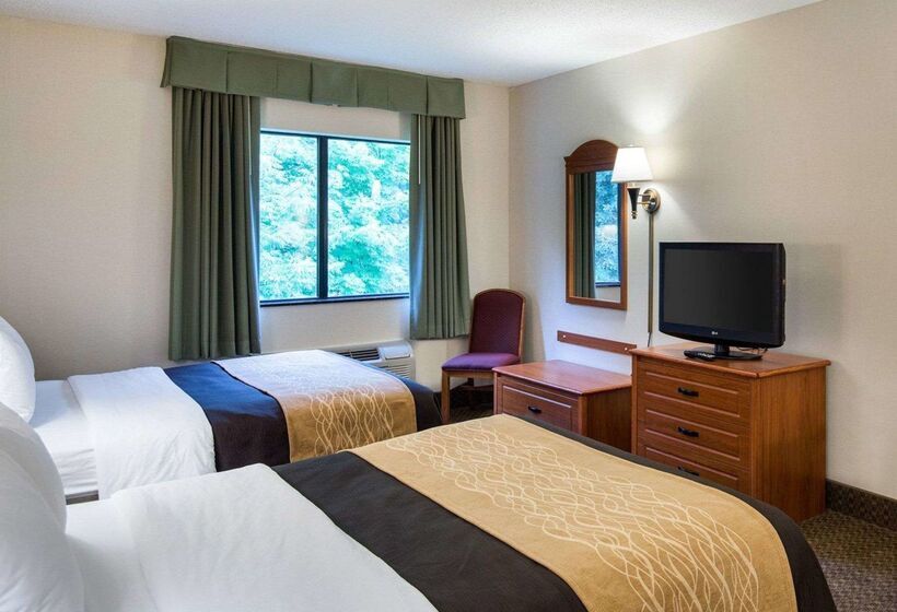 ホテル Comfort Inn & Suites Lavale  Cumberland