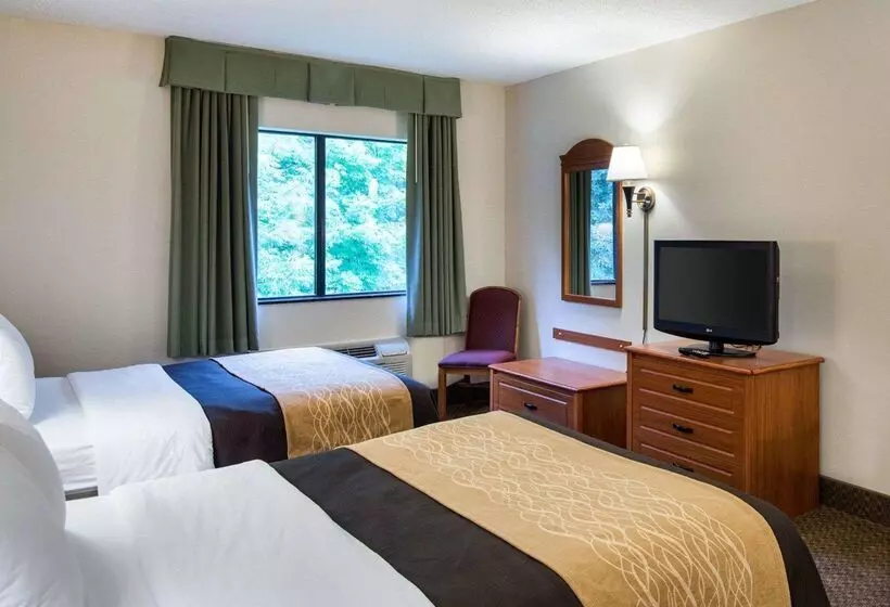 هتل Comfort Inn & Suites Lavale Cumberland