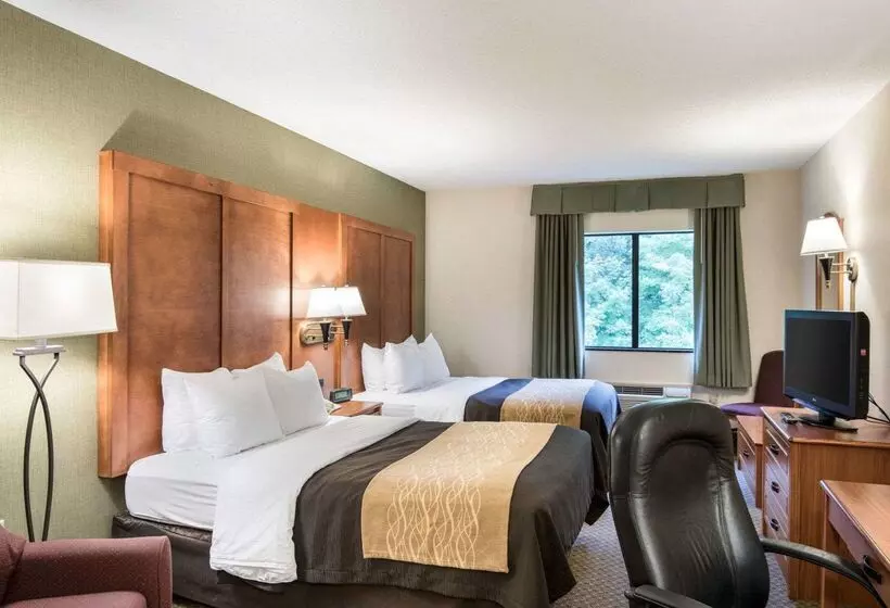 هتل Comfort Inn & Suites Lavale Cumberland