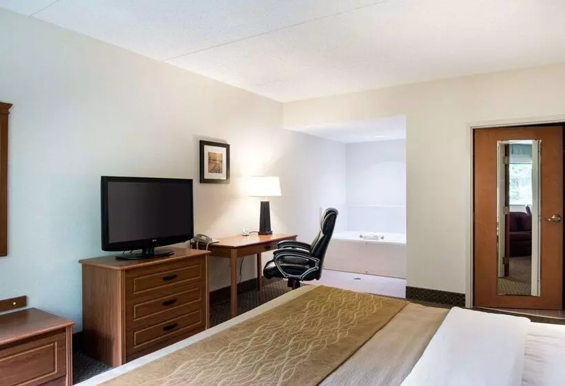 هتل Comfort Inn & Suites Lavale Cumberland