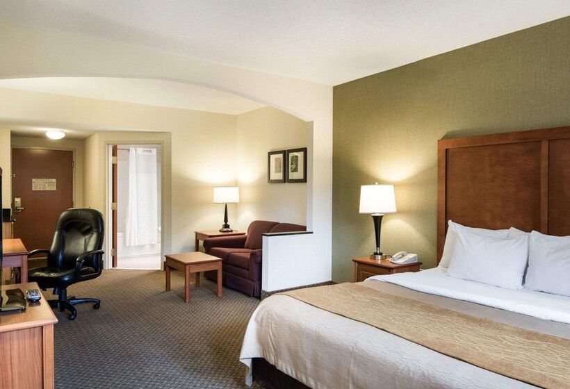 ホテル Comfort Inn & Suites Lavale  Cumberland