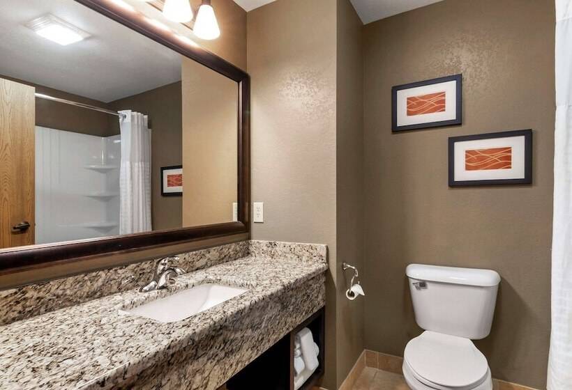 فندق Comfort Inn & Suites Macon