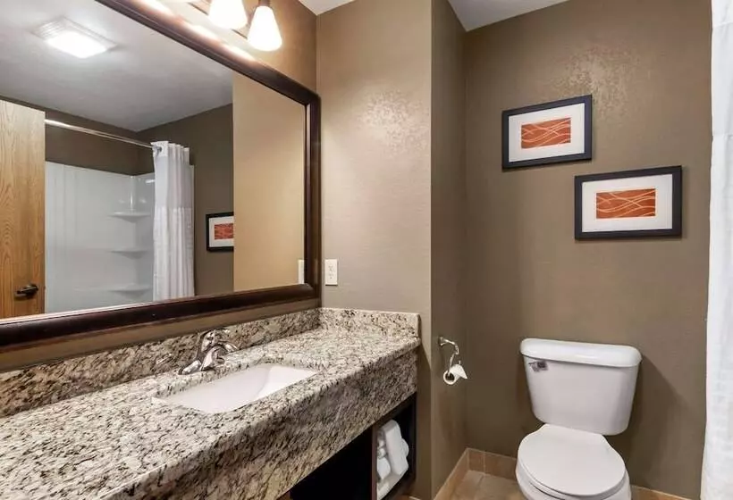 호텔 Comfort Inn & Suites Macon