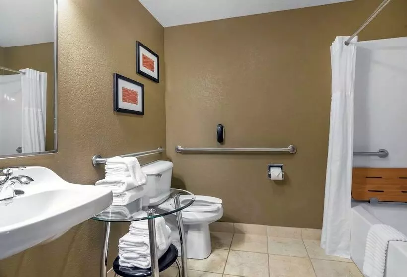 호텔 Comfort Inn & Suites Macon