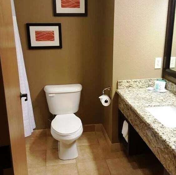 فندق Comfort Inn & Suites Macon