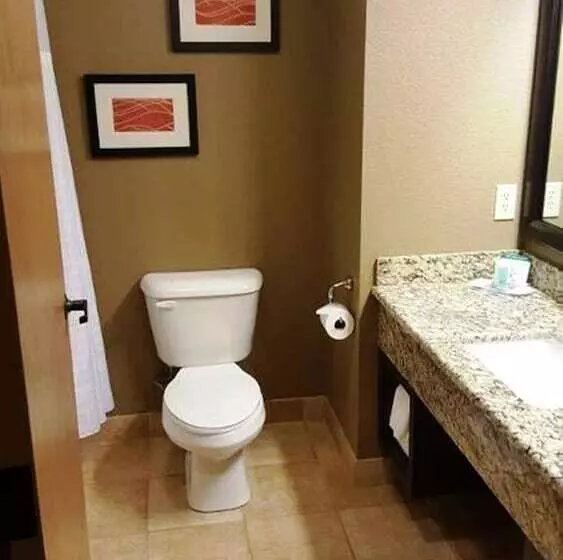 호텔 Comfort Inn & Suites Macon