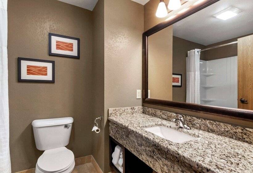 فندق Comfort Inn & Suites Macon