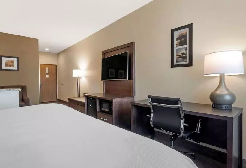 호텔 Comfort Inn & Suites Macon