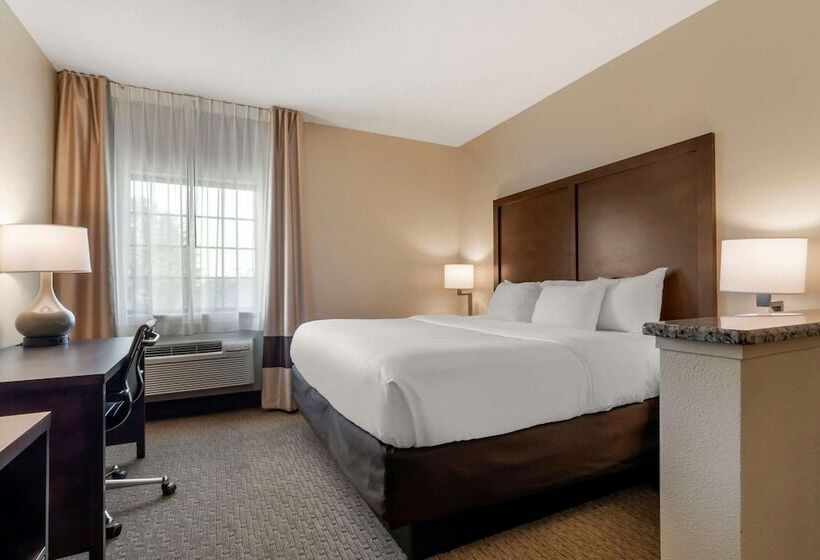 فندق Comfort Inn & Suites Macon