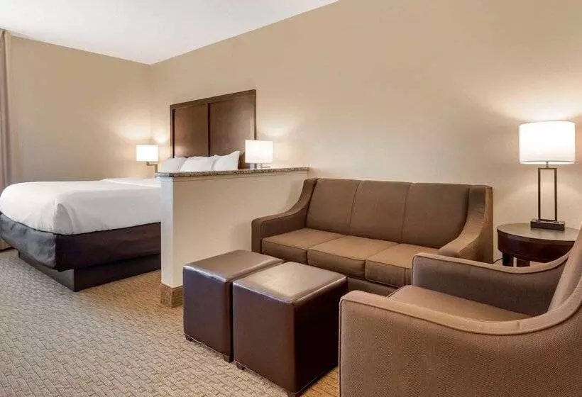 호텔 Comfort Inn & Suites Macon