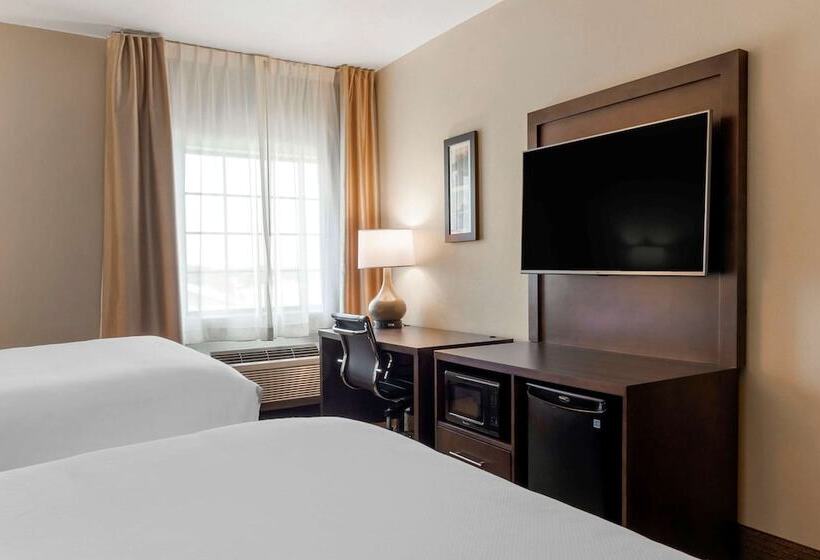 فندق Comfort Inn & Suites Macon