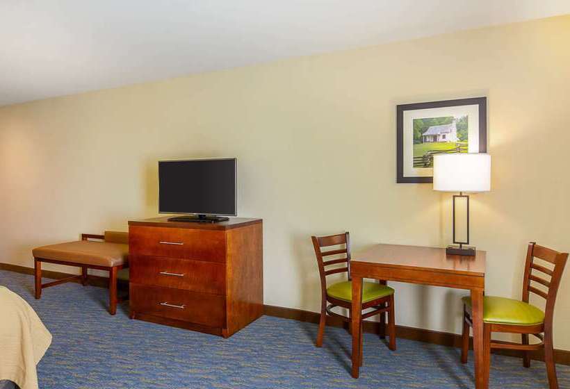 Отель Comfort Inn Woodstock Shenandoah