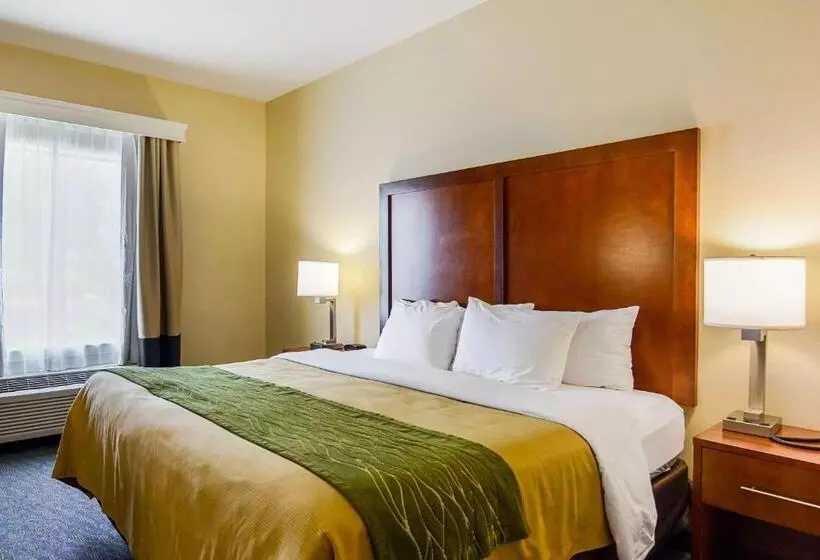 בית מלון כפרי Comfort Inn Woodstock Shenandoah