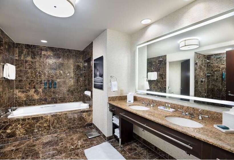 فندق Hilton Americashouston